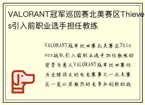 VALORANT冠军巡回赛北美赛区Thieves引入前职业选手担任教练