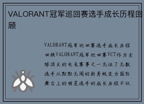 VALORANT冠军巡回赛选手成长历程回顾